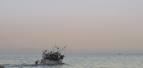 Открити са 11 тела на мигранти край бреговете на Либия