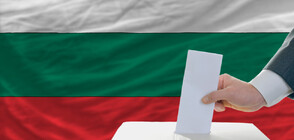 Вот 2 в 1: България гласува на европейски и предсрочни парламентарни избори