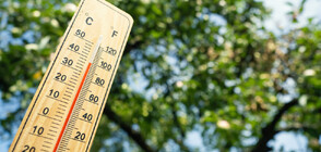 Жълт код за горещини в цяла България в понеделник