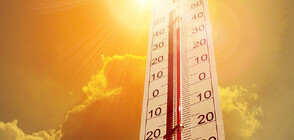 Опасно време: Жълт код за горещини в цялата страна за днес и утре