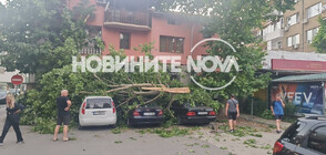 Описват щетите след бурята в Казанлъшко и Великотърновско (ВИДЕО)