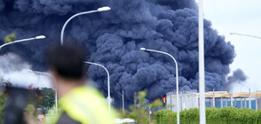 Пожар в товарната зона на летището в Брюксел (СНИМКИ)