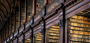 Какви са иновациите в сферата на съвременните библиотеки