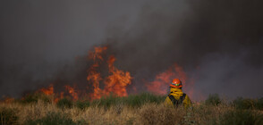 Хиляди са евакуирани заради горски пожари в САЩ (ВИДЕО)