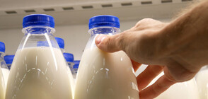 Имитиращи продукти: Защо консумацията на качествено мляко и сирене намалява