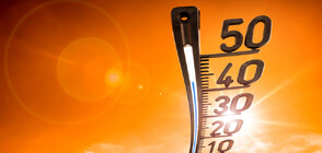 Африкански жеги в България: Регистрирани са температурни рекорди у нас