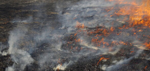 Два пожара в Сакар планина, обявиха бедствено положение в общините Харманли и Любимец