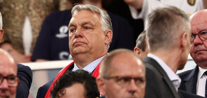 Катастрофа с кортежа на Орбан в Германия, има загинал и ранен (СНИМКИ)