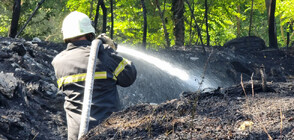 Локализираха големия пожар около варненското село Доброглед