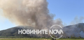 Голям пожар избухна в района на Мъглиж (СНИМКИ)