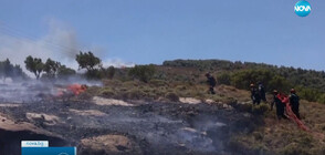 Огнеборци опитват да изгасят няколко големи пожара край Атина