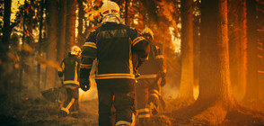 Червен код за опасност от пожари в Северна и Югоизточна България