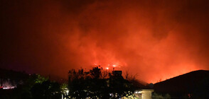 Големи пожари на три гръцки острова, евакуираха над 10 000 туристи (ВИДЕО+СНИМКИ)