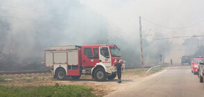Горски пожар в Старозагорско, спряно е електричеството в жп участъка в района (СНИМКИ)