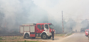 Горски пожар в Старозагорско, спряно е електричеството в жп участъка в района (СНИМКИ)