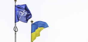 НАТО изпраща постоянен специален пратеник в Киев