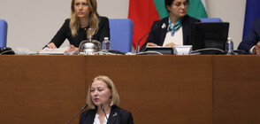 Парламентът създаде временна комисия по казусите "Нотариуса" и "Пепи Еврото"