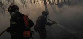 Силни мълнии подпалиха два горски пожара на остров Тасос