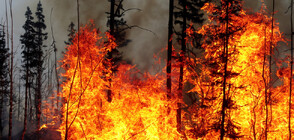 Оранжев и жълт код за опасност от пожари в няколко области на страната
