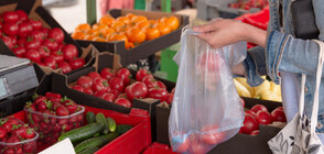 В разгара на лятото: Поскъпват основни хранителни стоки, зеленчуци и плодове (ВИДЕО)