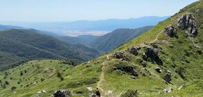„Дотам и обратно”: Разходка в Царството на планинския еделвайс