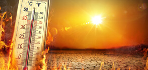 Екстремни горещини: Жълт код за високи температури в цялата страна в четвъртък