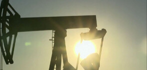 ОПЕК се придържа към прогнозата си за ръст на търсенето на петрол тази година