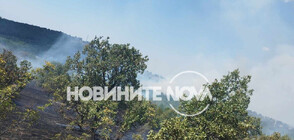 Хеликоптери се включиха в гасенето на четири пожара в Пловдивско (ВИДЕО+СНИМКИ)
