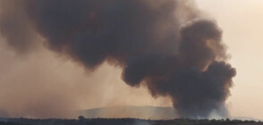 13 къщи и 6 леки коли изгоряха при два от пожарите в страната (ОБЗОР)