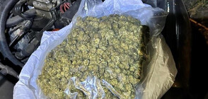 Трима задържани с около 14 кг марихуана и кокаин в Св. Влас (СНИМКИ)