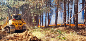 Продължава борбата с пожарите в страната (ОБЗОР)