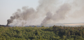 Огнеборци гасят пожар в гора край Русе (СНИМКИ)