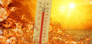 Червен код за екстремно високи температури във вторник