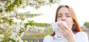 Алерголог: През лятото хората със сенна хрема са в пика на своята алергия