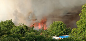 България гори: Четвърти ден продължава борбата с пламъците (ОБЗОР)