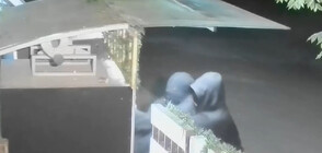 „Дръжте крадеца”: Маскирани с качулки разбиха вендинг машини в София (ВИДЕО)