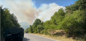 Пожарът в село Воден е локализиран