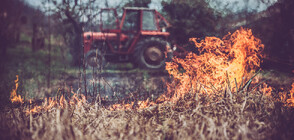 Продължителните горещини тревожат земеделските производители