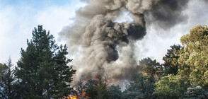 Пожар застраши бензиностанция в Харманли