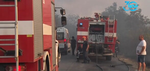 Пожар близо до бензиностанция в Харманли, изгоря кошара с 200 овце