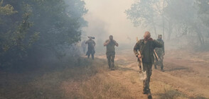 Още 217 военнослужещи се включват в борбата с пожарите (СНИМКИ)
