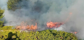 Пожар бушува в Национален парк "Централен Балкан" (СНИМКИ)