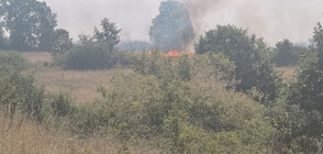 Огънят в село Воден отново се разгоря
