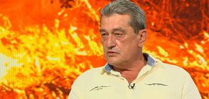 Николай Николов: Днес е първият спокоен ден от доста време, отделните пожари не са рискови