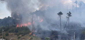 Пожар пламна в Стара Загора близо до Дом за деца (СНИМКИ)