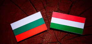 България е предложила на Унгария помощ за енергийните доставки
