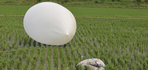 Объркани полети и пожар: Пхенян пусна 500 балона с боклук над Южна Корея (ВИДЕО+СНИМКИ)