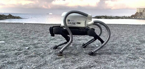 Изобретиха робот, който да събира фасове по плажовете (ВИДЕО)