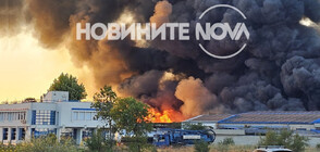Пожар в завод за отпадъци край Пловдив, има пострадали пожарникари (ВИДЕО+СНИМКИ)