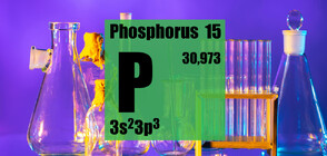 Как учен откри фосфора в опит да превърне урината в злато